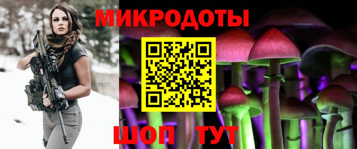 Псилоцибиновые грибы Psilocybe Вольск